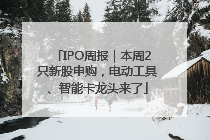 IPO周报｜本周2只新股申购，电动工具、智能卡龙头来了