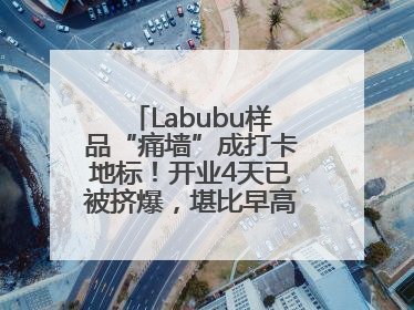 Labubu样品“痛墙”成打卡地标！开业4天已被挤爆，堪比早高峰菜市场