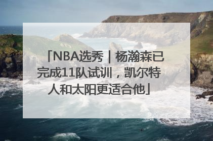 NBA选秀｜杨瀚森已完成11队试训，凯尔特人和太阳更适合他