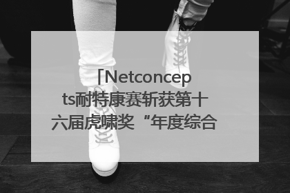 Netconcepts耐特康赛斩获第十六届虎啸奖“年度综合服务商”大奖